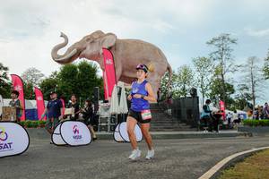 BIB: 
                            <button type="button" onclick="openModal(26528995)" class="btn btn-primary btn-sm float-right btn-popup" data-toggle="modal" data-target=".modal-high-quality">
                        <i class="fas fa-shopping-cart"></i> Add to Cart
                    </button>
                                            <button type="button" onclick="isThisMe(26528995, true)" class="btn btn-success btn-sm float-right btn-popup btn-isme hidden" data-toggle="tooltip" data-placement="bottom" title="นี่คือรูปของคุณใช่ไหม คลิกที่นี่เพื่อเอาเข้าอัลบั้ม">
                        <i class="fas fa-plus"></i> Add to album
                    </button>
                    <button type="button" onclick="isThisMe(26528995, false)" class="btn btn-warning btn-sm float-right btn-popup btn-isnotme hidden">
                        <i class="fas fa-ban"></i> Remove from album
                    </button>